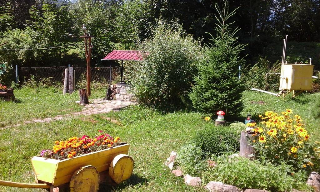 U Pana Ivana Яремче Екстериор снимка