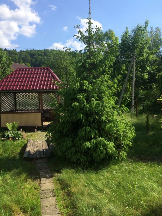 U Pana Ivana Яремче Екстериор снимка
